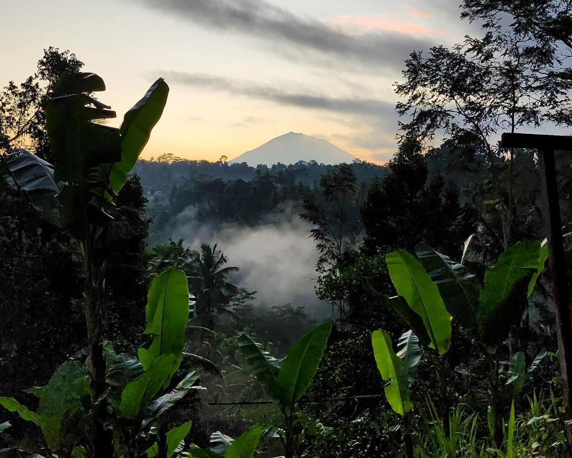Delta Casa Ubud-Jungle Villas With Volcano View & Hot Tub Payangan Exterior foto