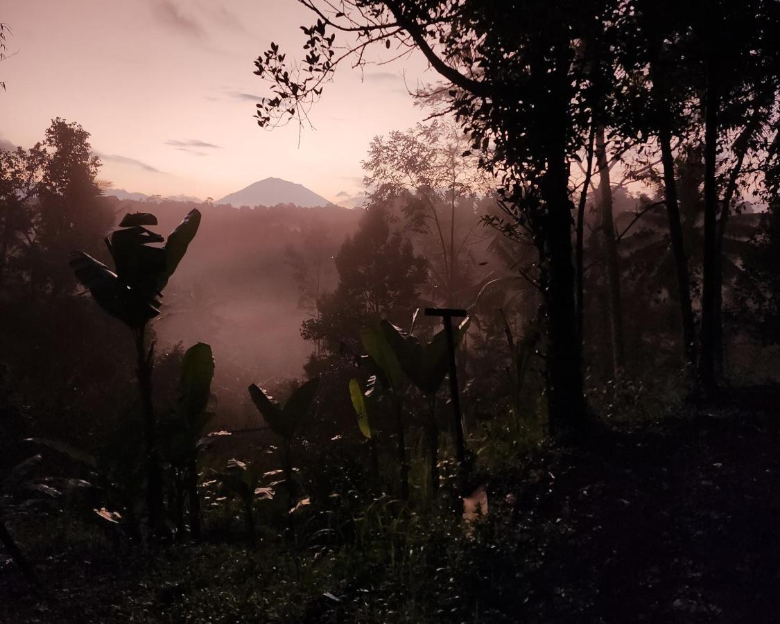 Delta Casa Ubud-Jungle Villas With Volcano View & Hot Tub Payangan Exterior foto